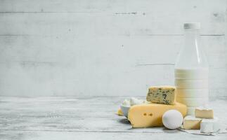 The range of fresh dairy products. photo