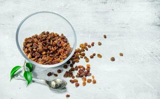 Raisins in a glass bowl. photo