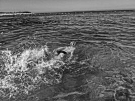 chico buceo en el mar en azul agua en un verano calentar fiesta día foto