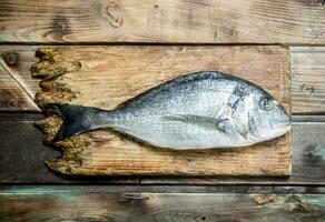 Raw sea fish dorado on a cutting Board. photo