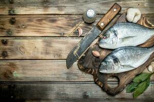 Raw sea fish dorado with herbs and aromatic spices. photo