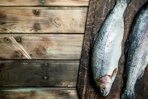 Raw sea fish salmon on a cutting Board. photo