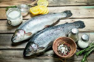 Raw sea fish salmon with lemon and spices. photo