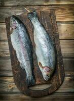 Raw sea fish salmon on a cutting Board. photo