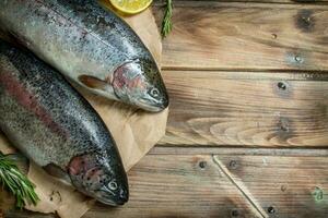 Raw sea fish salmon on old paper with lemon slices and fragrant rosemary. photo