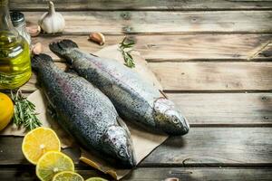 Raw sea fish salmon with white wine and thyme. photo