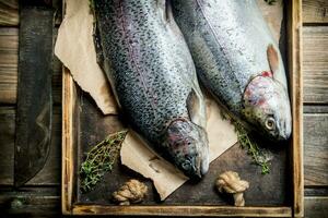 Raw sea fish salmon on a wooden tray with thyme. photo