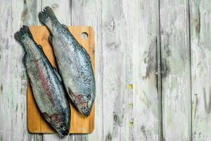 crudo pescado salmón en un corte tablero. foto