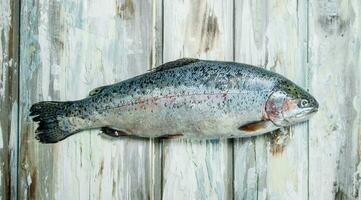 Raw fish salmon. photo