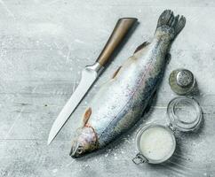 Raw fish salmon with salt and pepper. photo