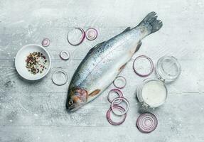 Raw fish salmon with spices and red onion rings. photo