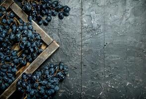 negro uvas en un de madera bandeja. foto