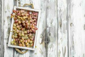 Pink grapes in the box. photo