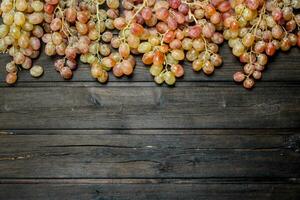 Branches of pink grapes. photo