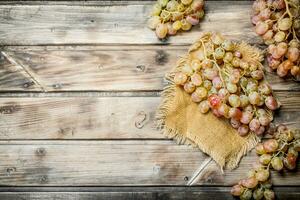 White ripe grapes. photo