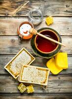 Various bee honey. photo