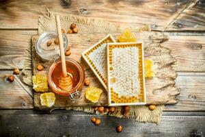 Natural honey with nuts. photo