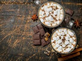 Hot chocolate in mugs with marshmallows and fragrant cinnamon. photo