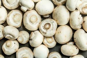 Ripe fresh mushrooms. photo