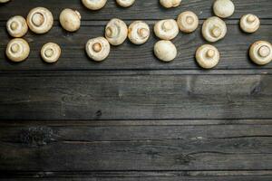 Fresh whole mushrooms. photo