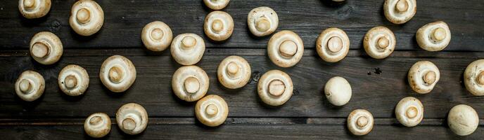 Fresh whole mushrooms. photo