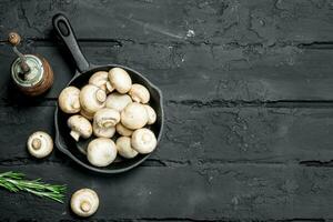 Mushrooms in pan and pepper grinder. photo