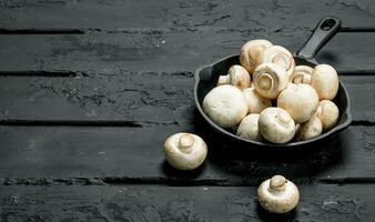 Fresh mushrooms in pan. photo