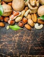 Nuts background. Different kind of nuts with green leaves. photo