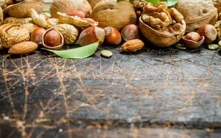 Nuts background. Different kind of nuts with green leaves. photo