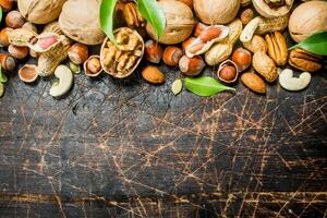 Nuts background. Different kind of nuts with green leaves. photo