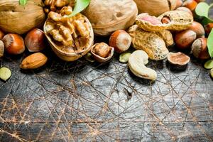 Nuts background. Different kind of nuts with green leaves. photo