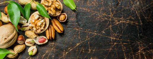 Nuts background. Assortment of different nuts with green leaves . photo