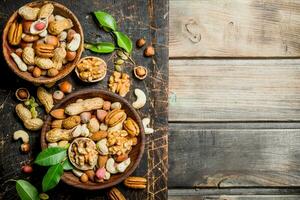 Different types of nuts in bowls with green leaves. photo