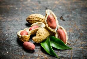 Peanuts with green leaves . photo