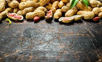 Peanuts with green leaves . photo