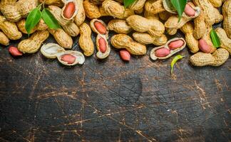 Peanuts with green leaves . photo