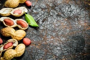 Peanuts with green leaves . photo