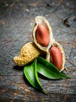 Peanuts with green leaves . photo
