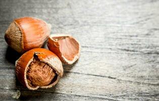 Hazelnut with shell . photo