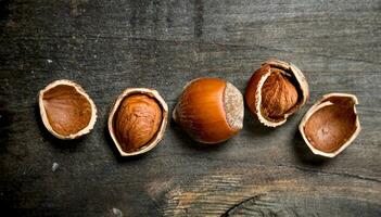 Hazelnut with shell . photo