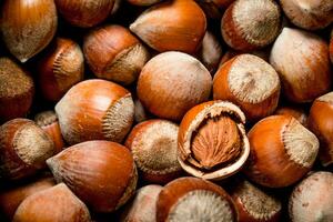 Hazelnuts in the shell. photo