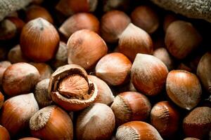 Hazelnuts in the shell. photo