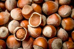 The texture of the hazelnut in shell. photo