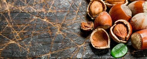 Hazelnut with green leaves . photo