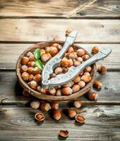 Hazelnuts in a bowl with a Nutcracker. photo