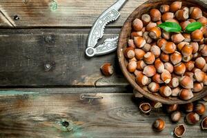 Hazelnuts in a bowl with a Nutcracker. photo