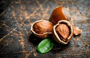 Hazelnut with green leaves . photo