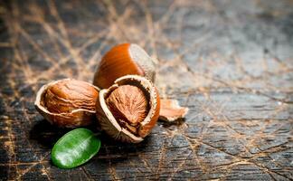 Hazelnut with green leaves . photo