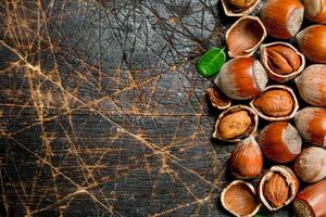 Hazelnut with green leaves . photo