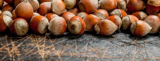 Hazelnuts in the shell. photo